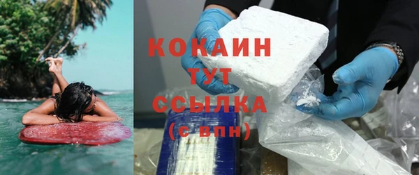 ГАЛЛЮЦИНОГЕННЫЕ ГРИБЫ Белокуриха