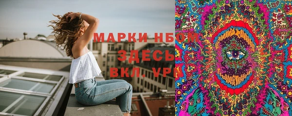 ГАЛЛЮЦИНОГЕННЫЕ ГРИБЫ Белокуриха
